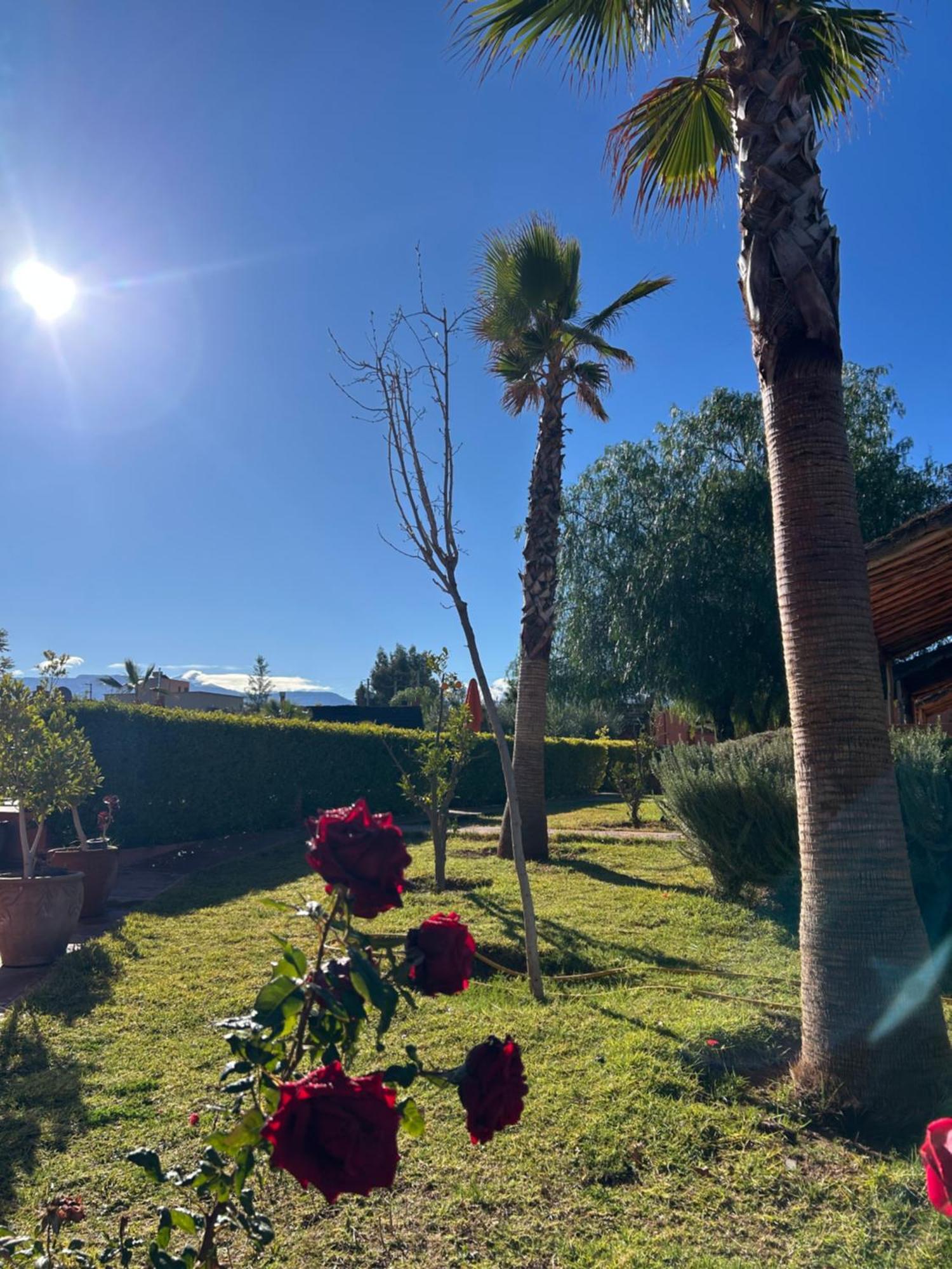 Les Orangers De L'Ourika Hotel Douar Akkara Kültér fotó