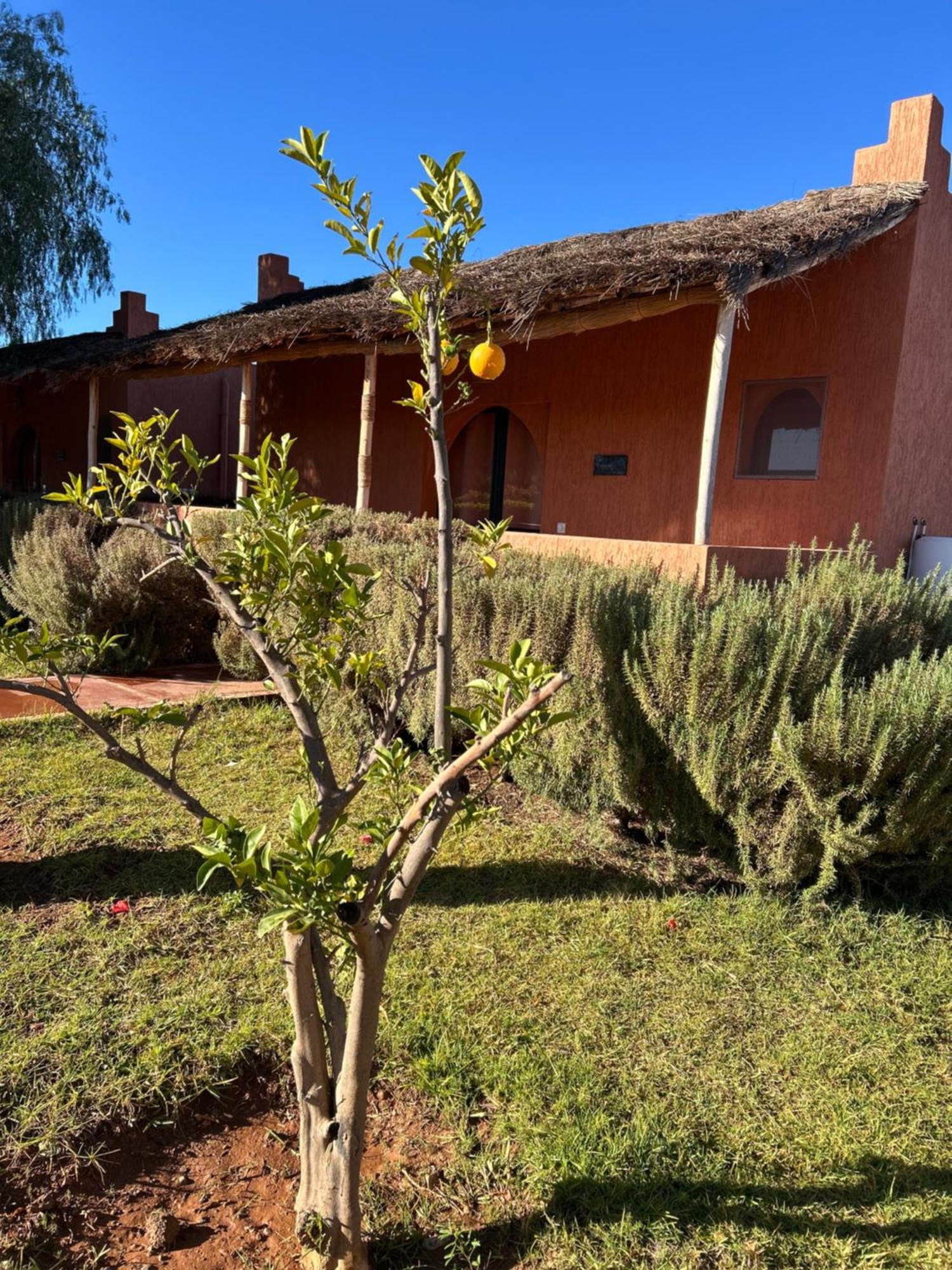 Les Orangers De L'Ourika Hotel Douar Akkara Kültér fotó